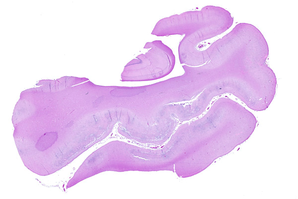 Read Only Case Details Reviewed Apr 2008